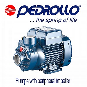 Pumps with peripheral impeller